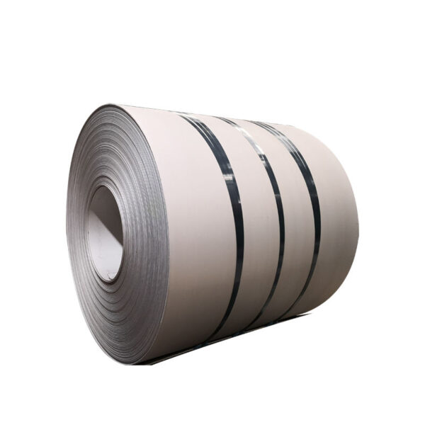 2205/2507 Stainless Steel Coil/Strip